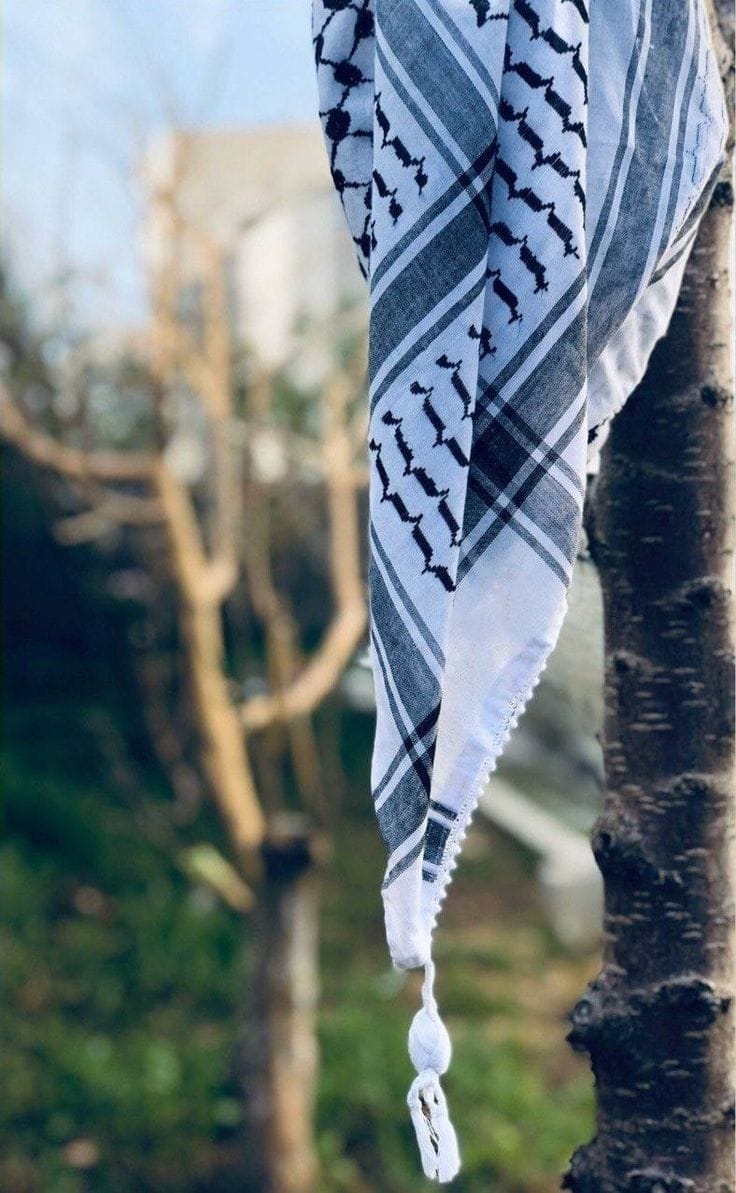 Palestine Kufiya